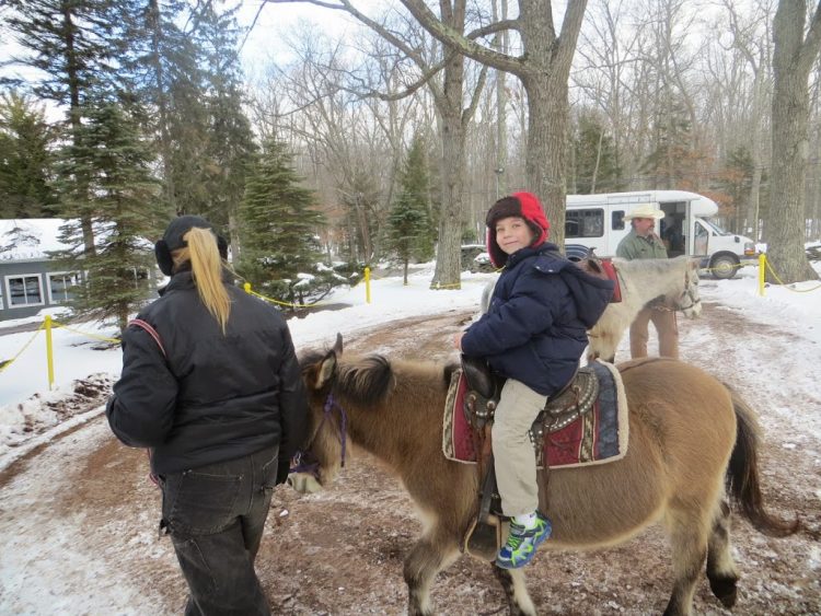 woodloch review pines pony ride