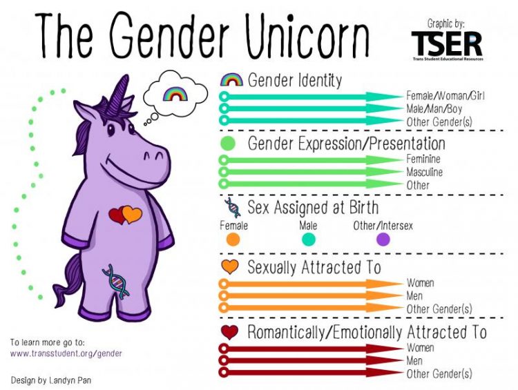 gender unicorn